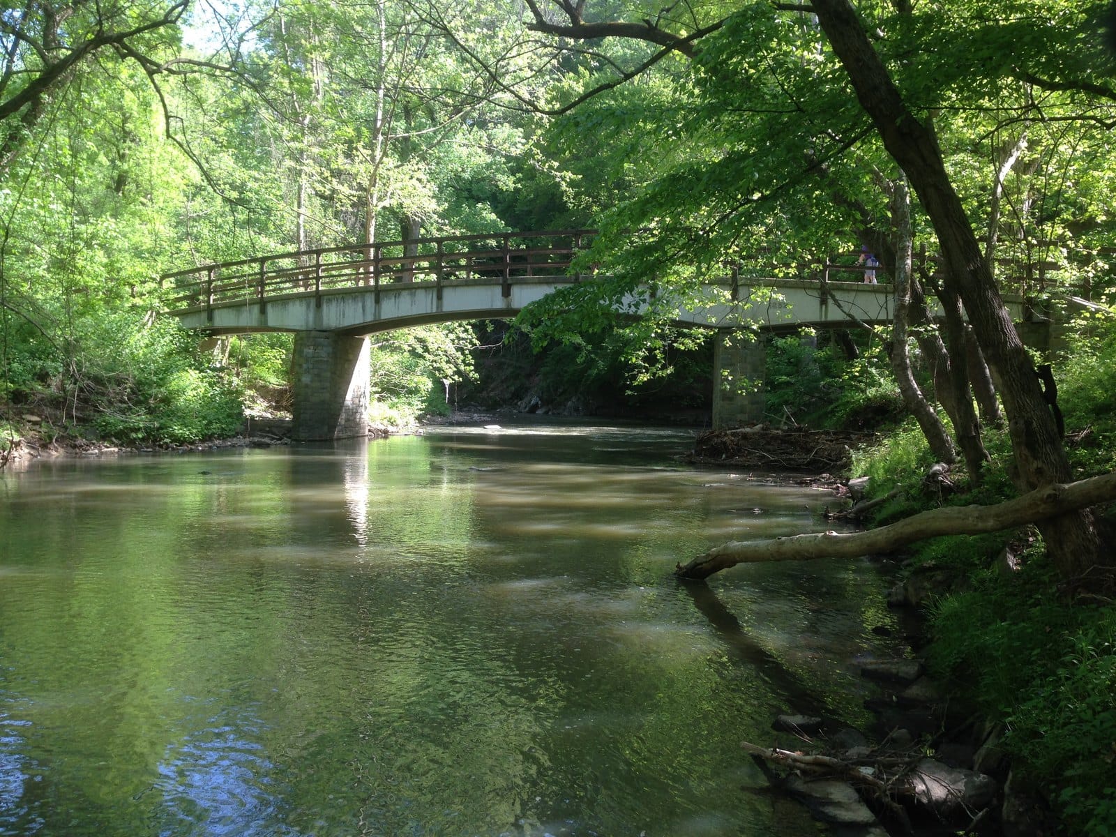 The Best Green Spaces in Washington, DC: A Local's Guide to Parks and Trails