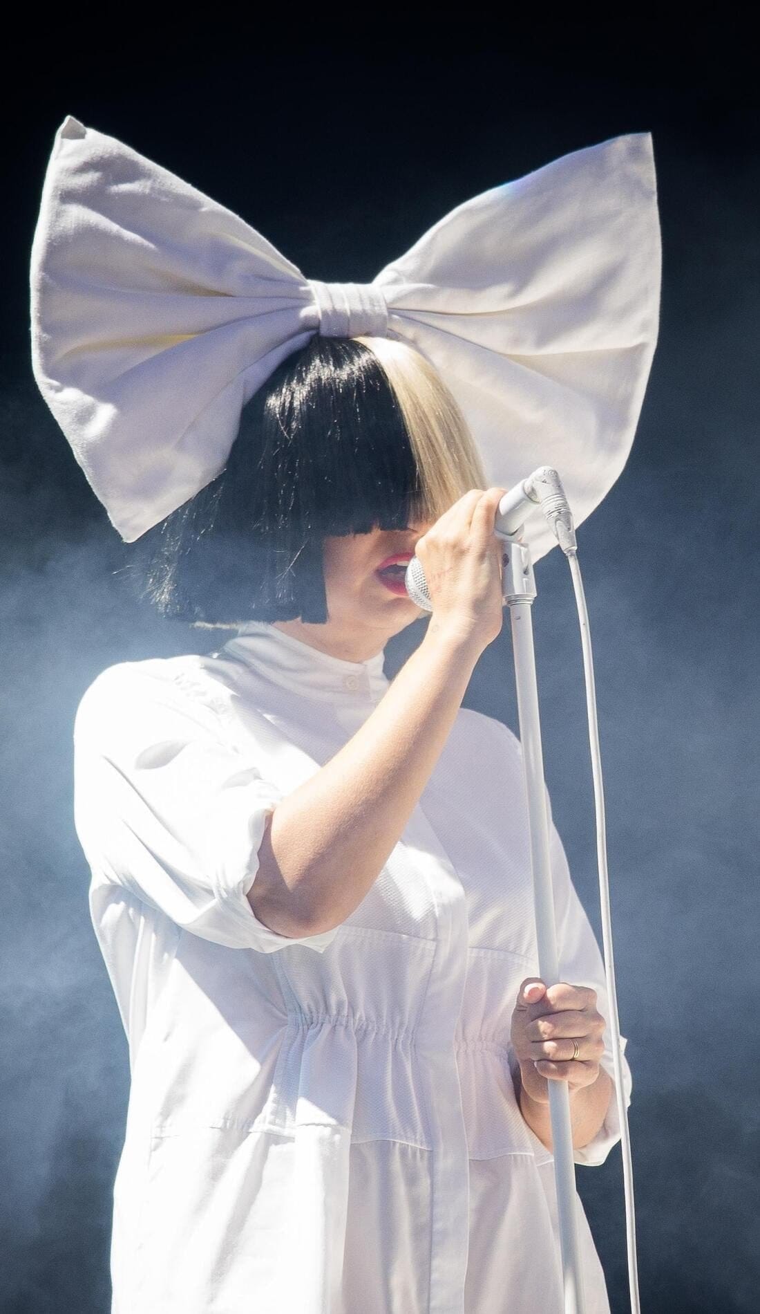 Sia just sold half her music catalog for $180 million, and her divorce made it complicated