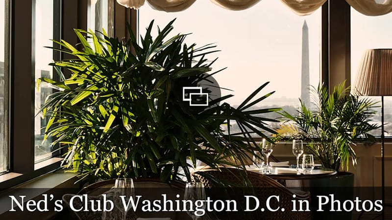 Ned's Club DC: The Private Members' Club Now at the Center of the Kash Patel Lawsuit