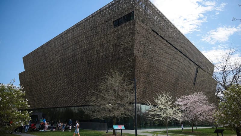 Smithsonian Museum Director Exits Amid Trump DEI Purge