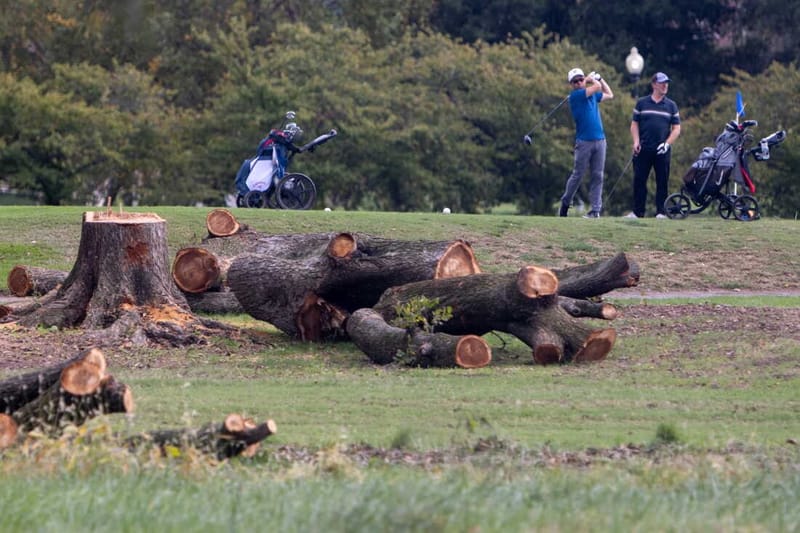 A federal judge has stopped more tree cutting at East Potomac Golf Links, for now